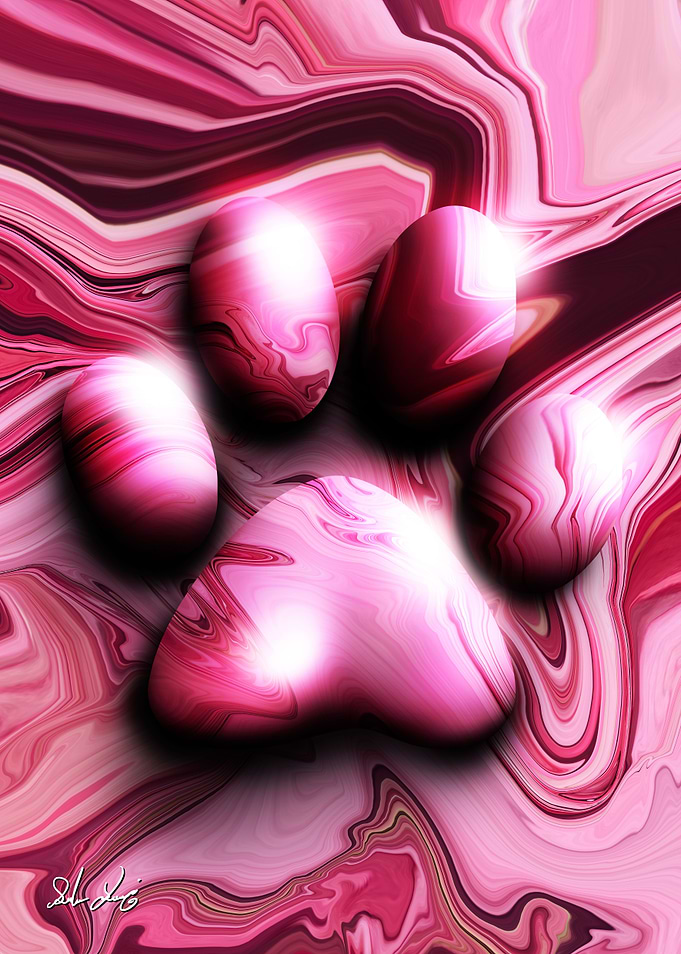 Pet Paw
