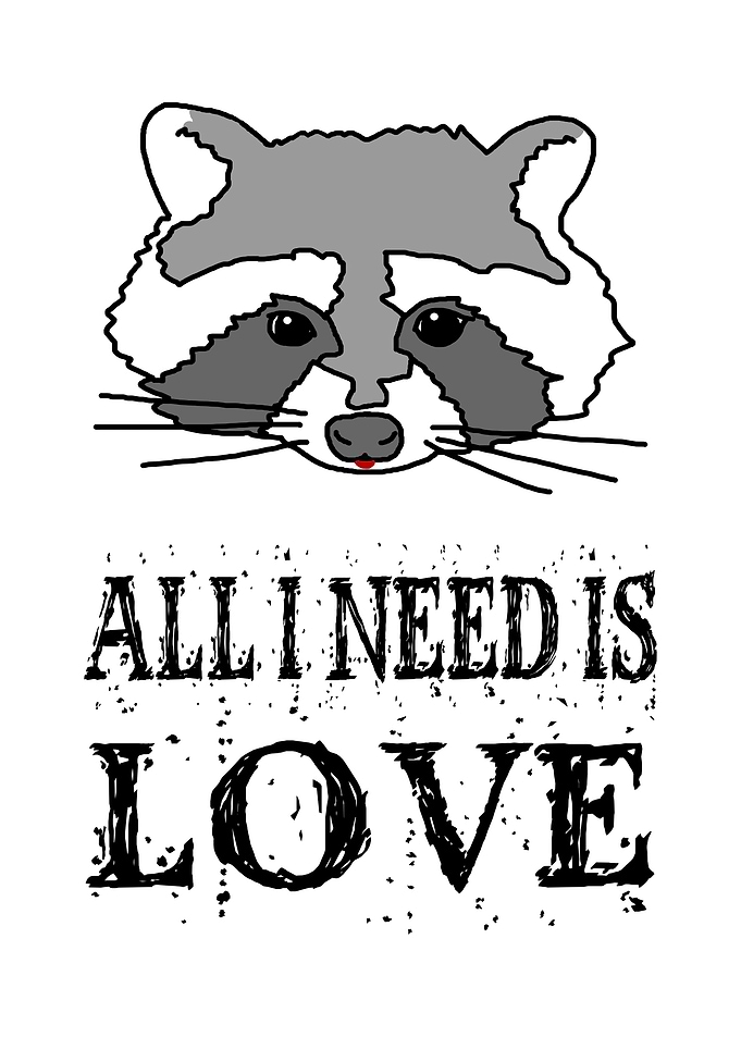 Raccoon All I Need Is Love