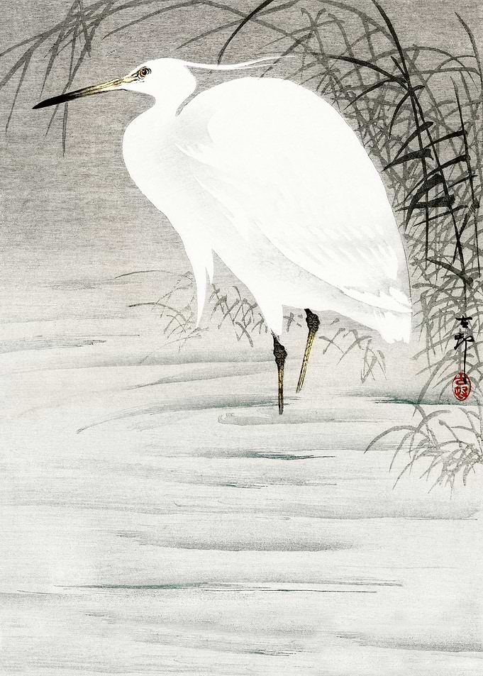Egret in water woodblock