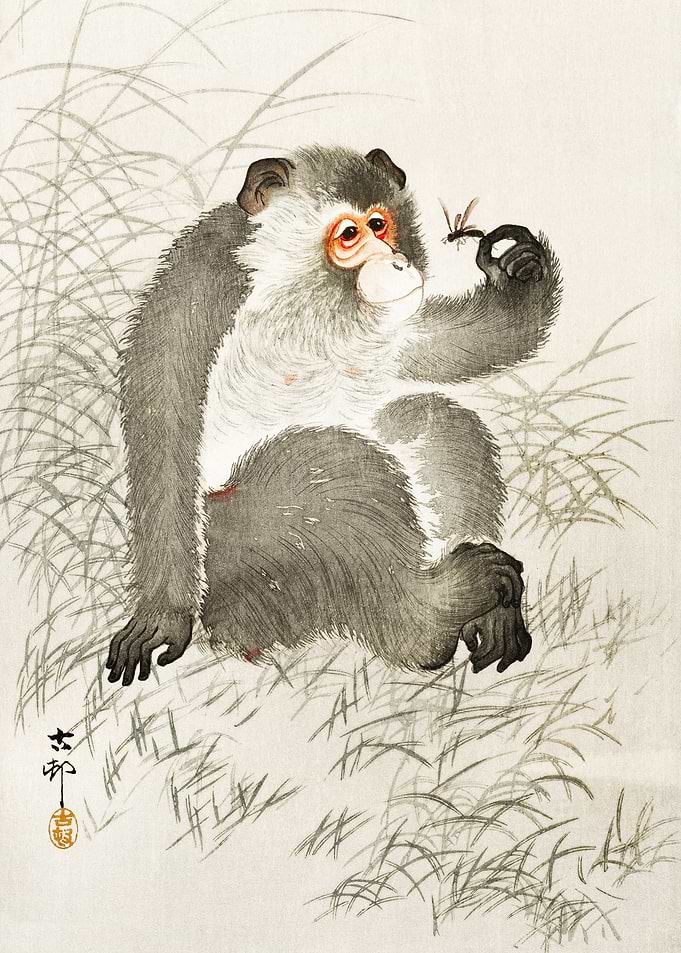 Monkey and bug woodblock