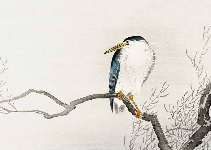 Bird on tree branch print