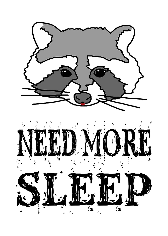 Raccoon Need More Sleep