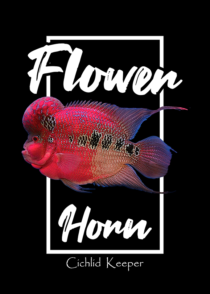 Flowerhorn Monster Fish