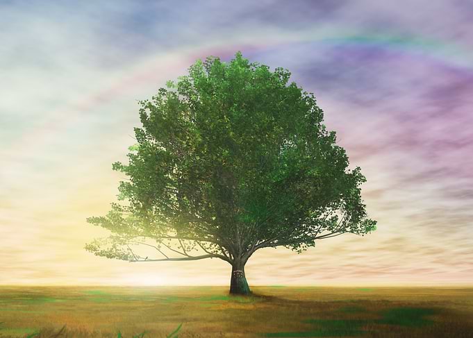 Tree of Life