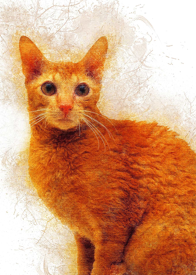 Cat 18