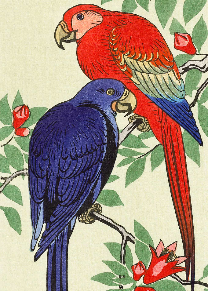 Parrots and pomegranate