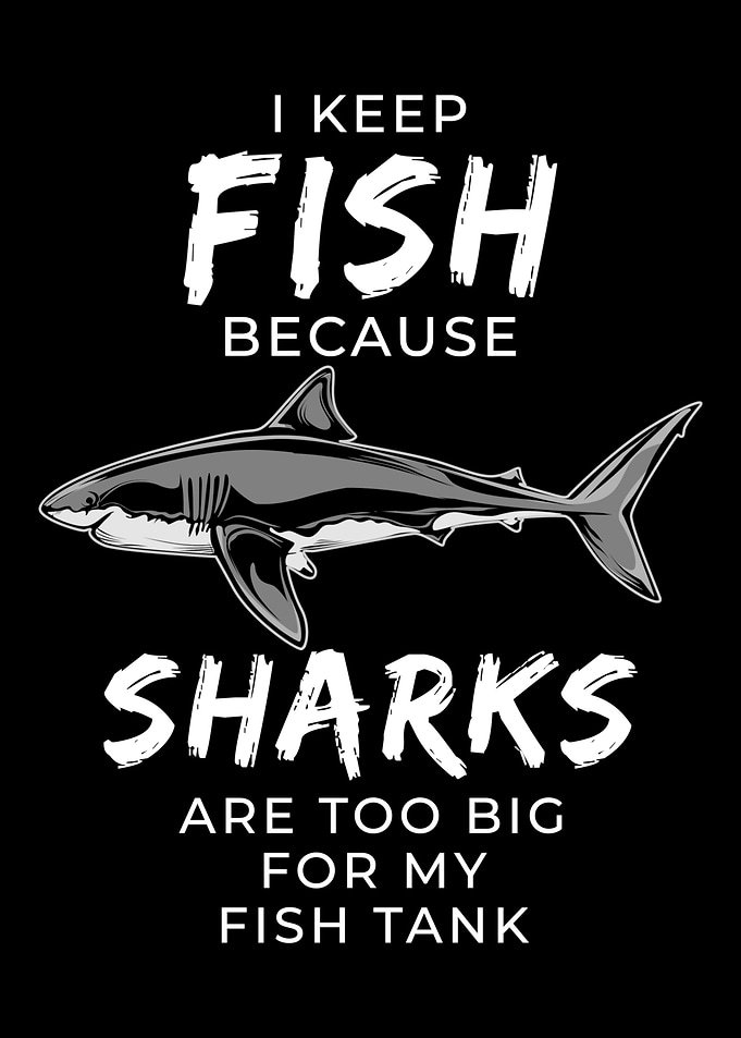 Funny Fish Keeper Shark