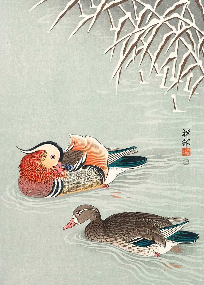 Couple mandarin duck print