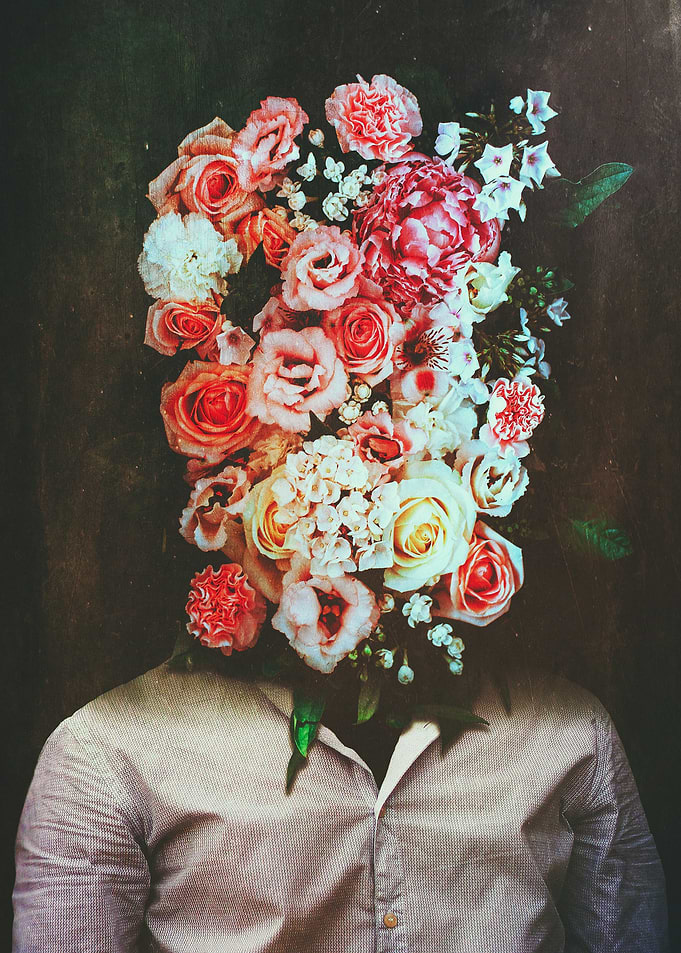 Bloom