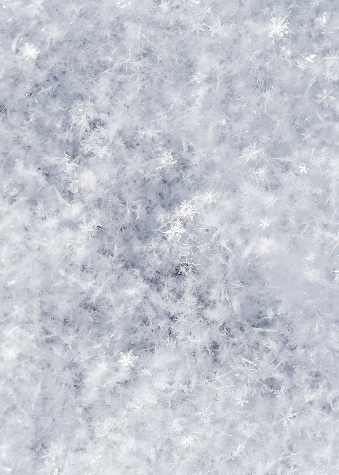 Abstract Of Fresh Snow