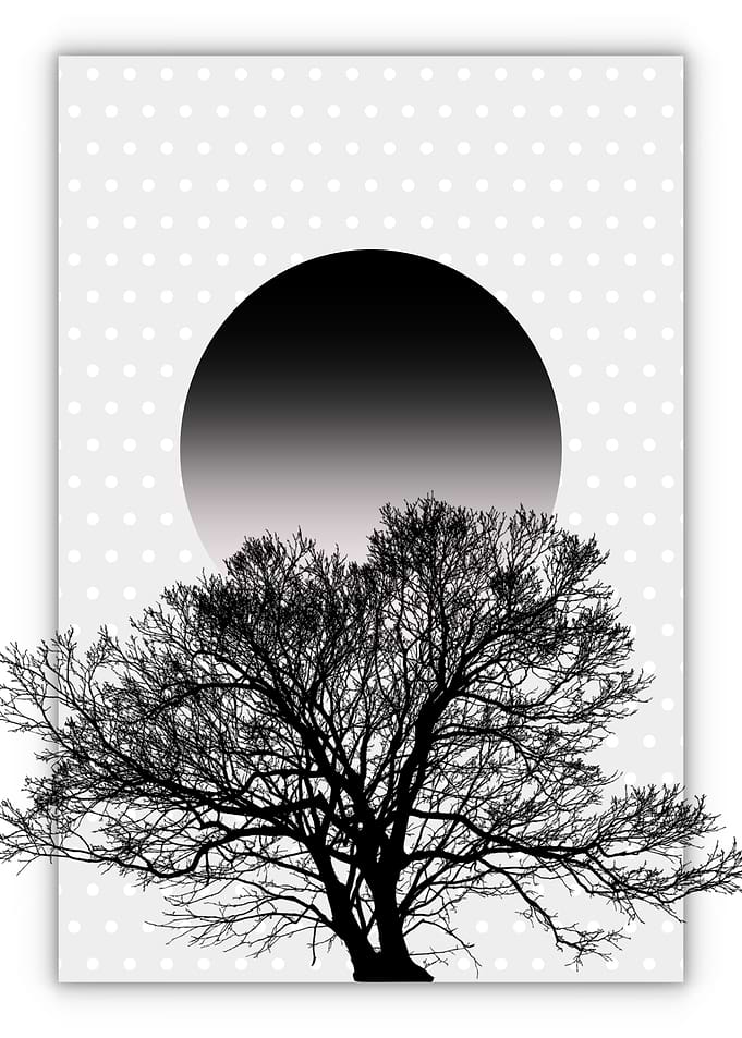Dark Sunset
