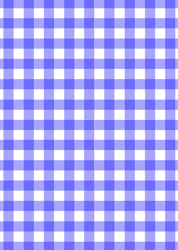 Gingham In Blue
