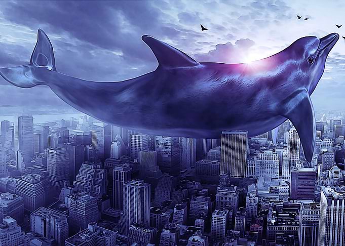 Flying dolphine over city