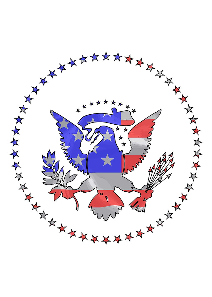 Stars And Stripes Eagle