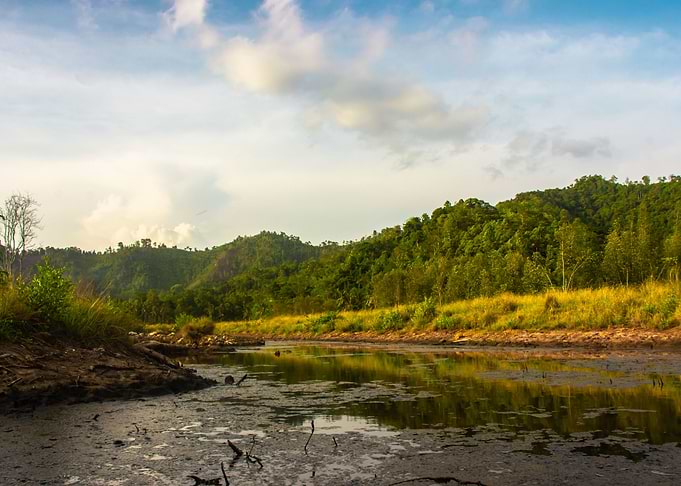 nature landscape