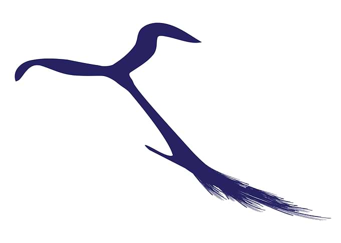 Whales Tail Abstract