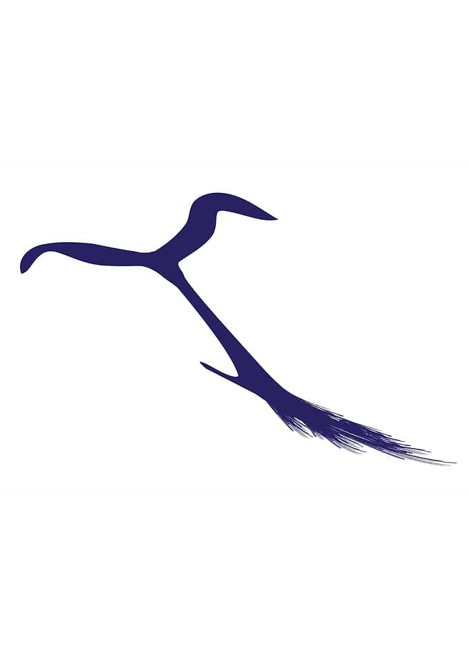 Whales Tail Abstract