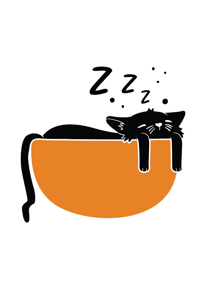 Sleeping Cat