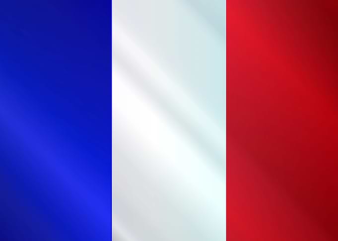 French Grunge Flag Gloss