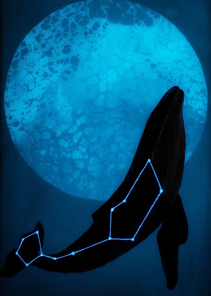 Whale Constellation