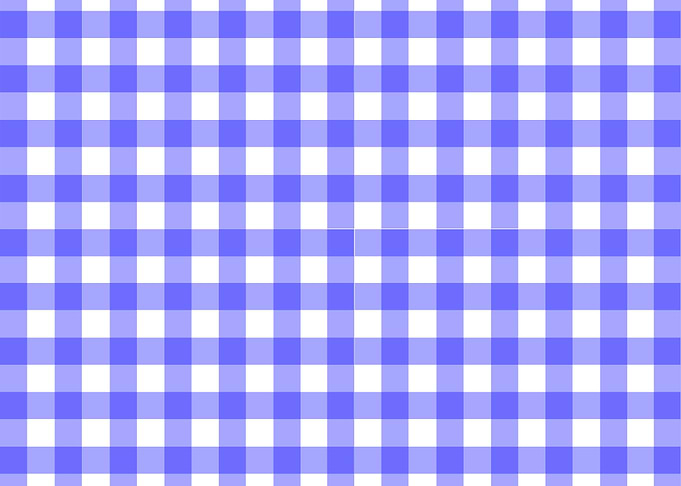 Gingham In Blue