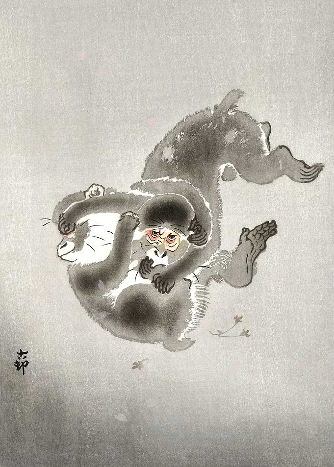 Fighting monkeys woodblock