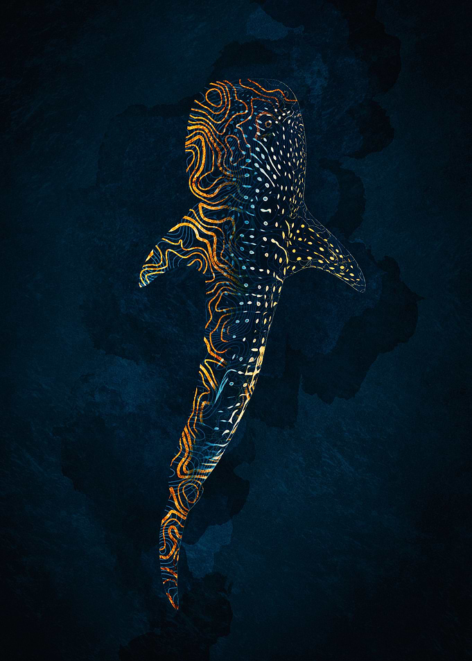 Whale Shark in Gold