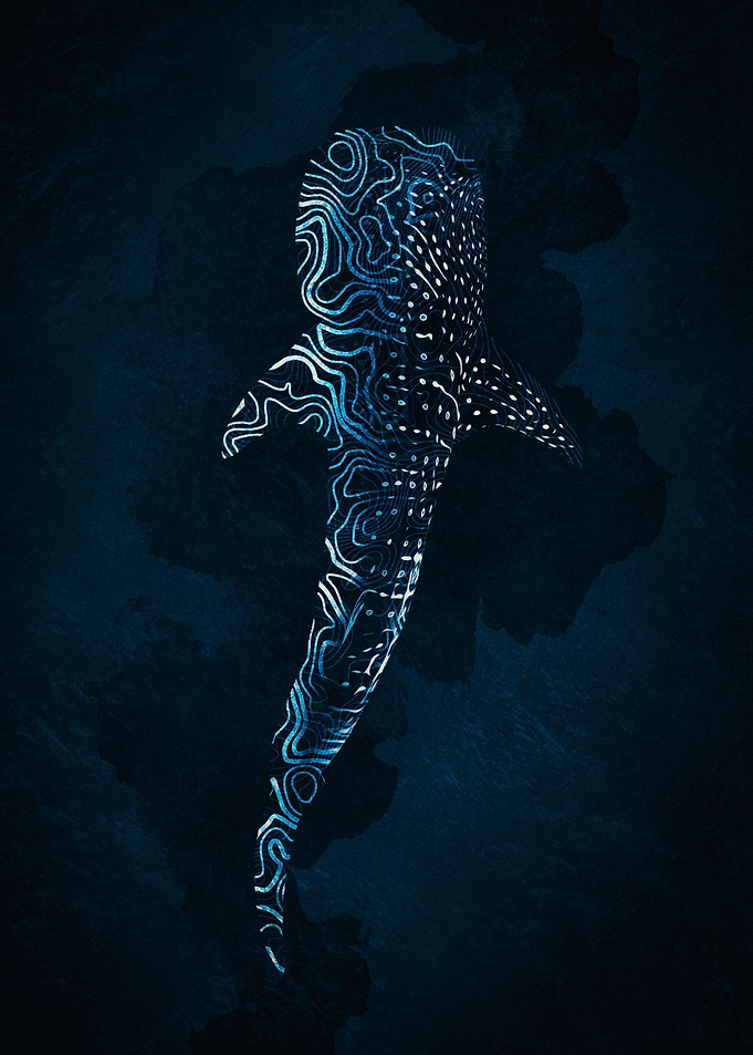 Whale Shark