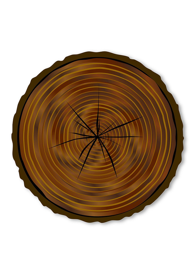 Dark Log End