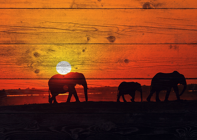Elephant Art
