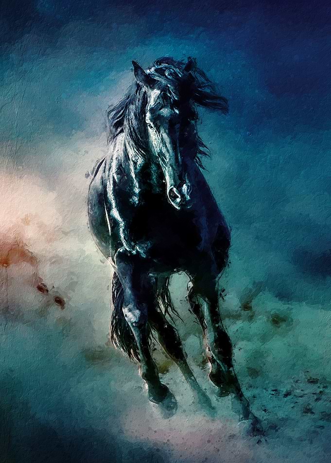 The Black Stallion