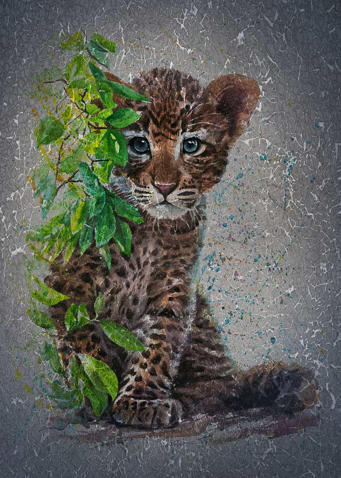 Little Leopard