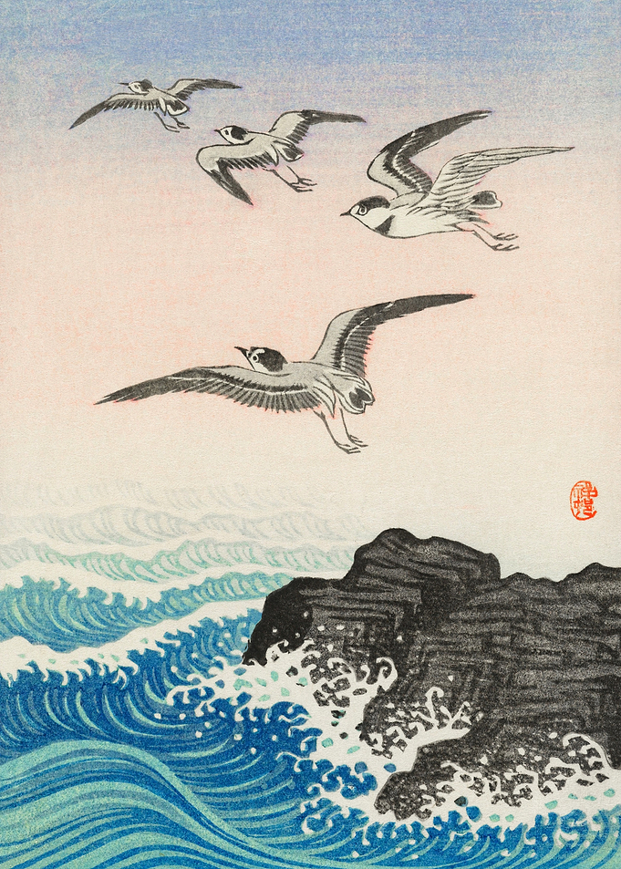 Seagulls over a stormy sea
