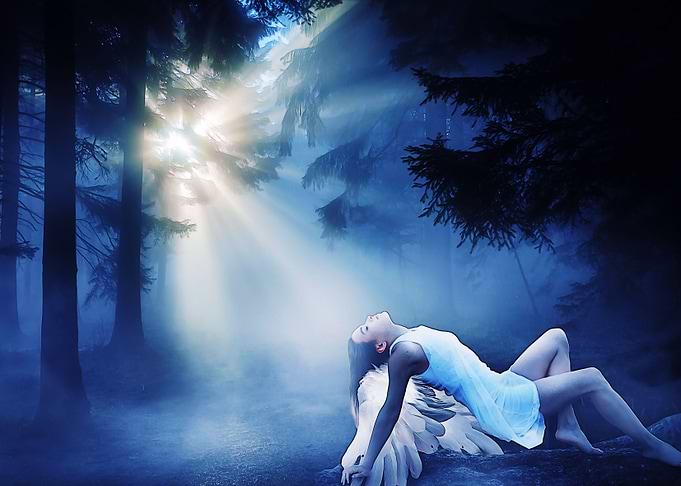 Divine light angel forest