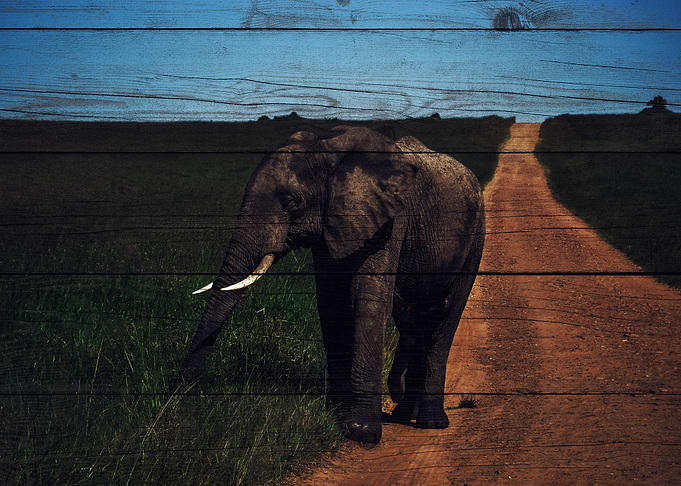 Elephant Art