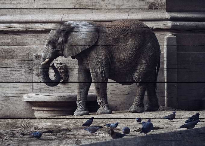 Elephant Art