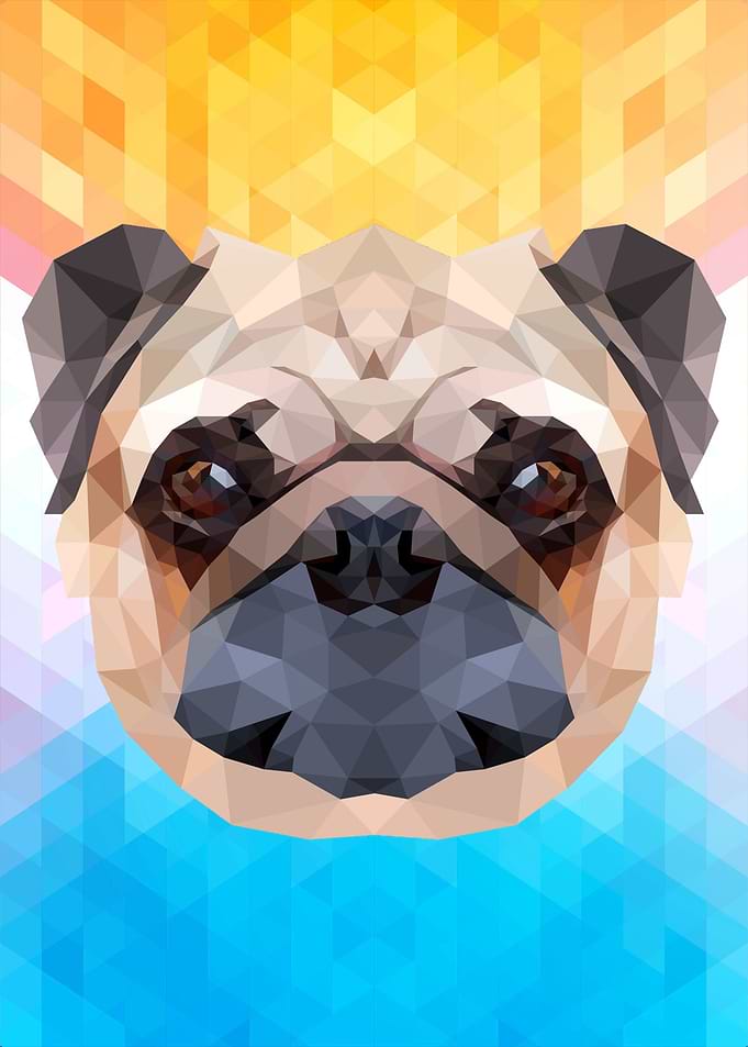 Pug Dog Polygon