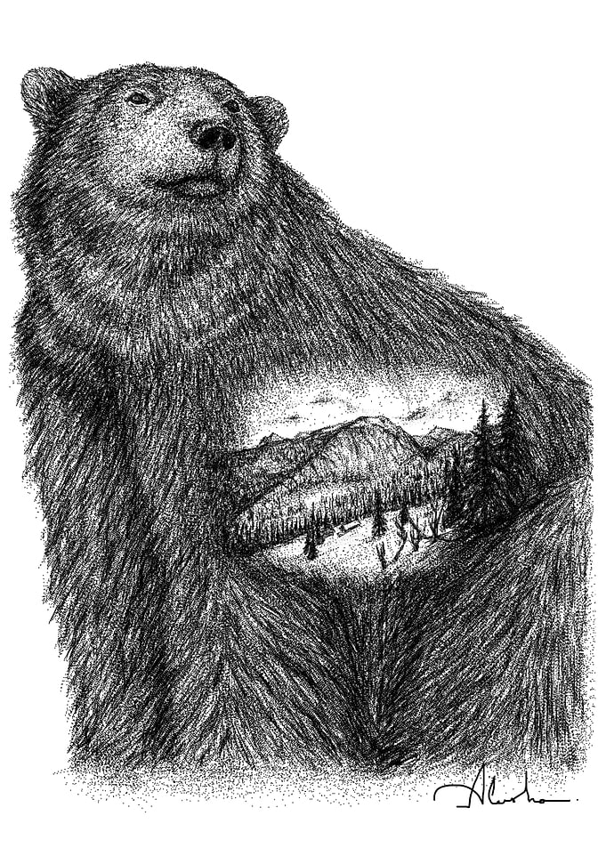 BEAR