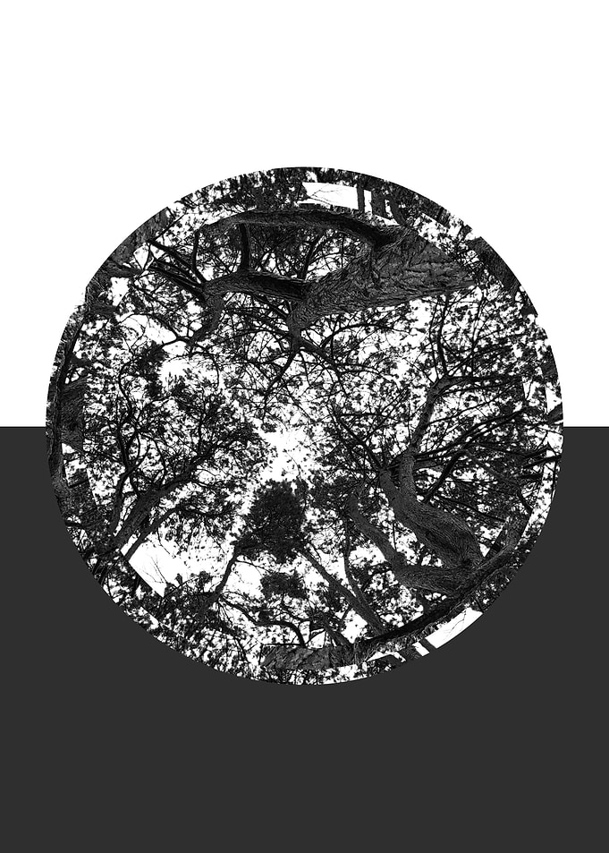 Circle 01