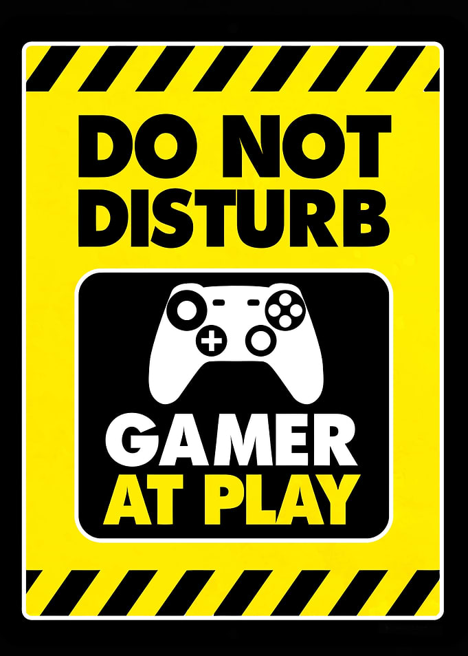 Gamer V2 vintage