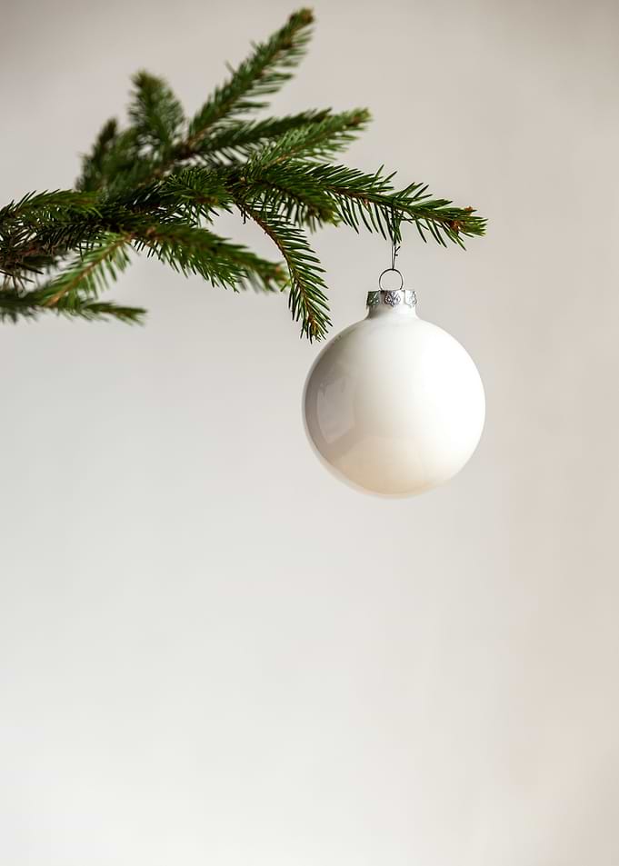 Christmas tree branch