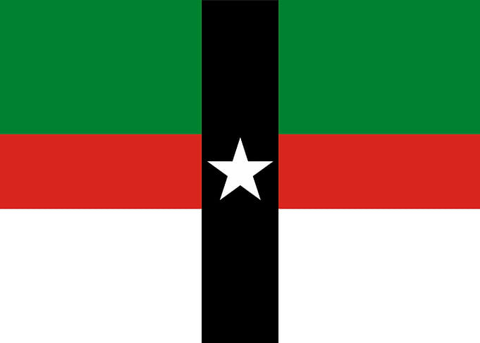 Denison city Texas flag
