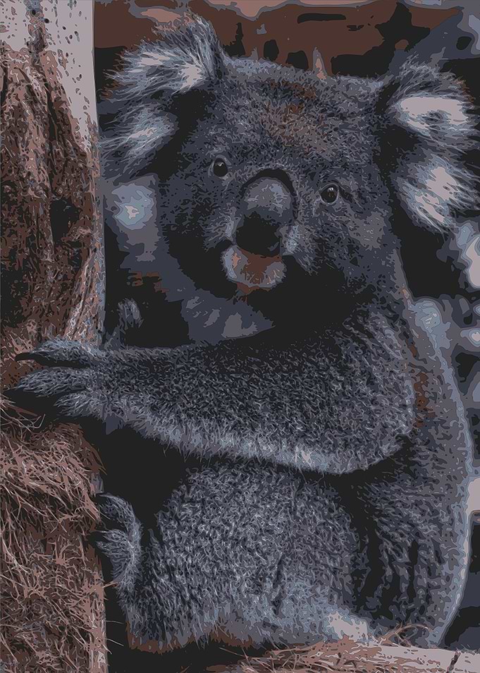 Australia