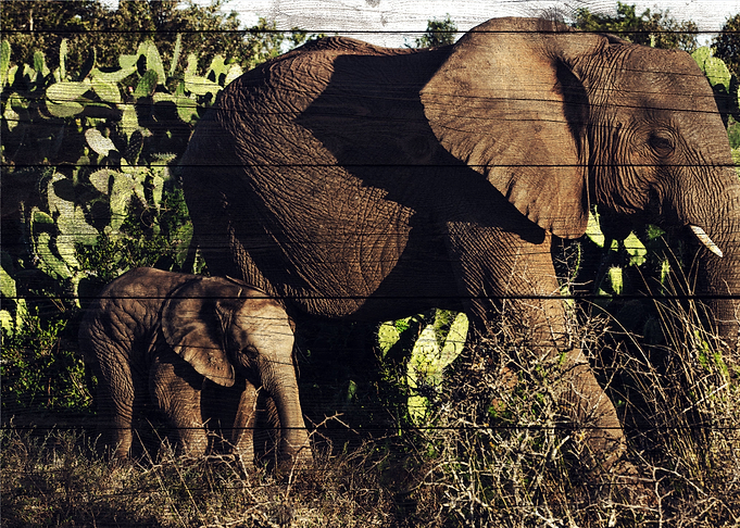 Elephant Art