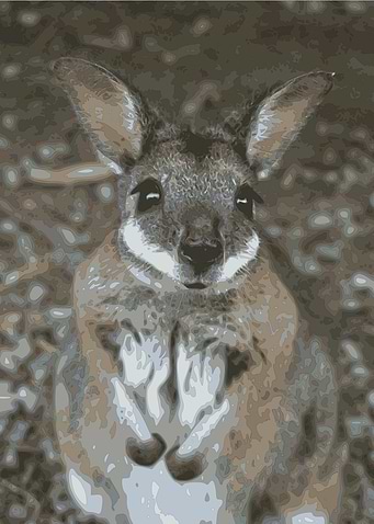 Australia 21