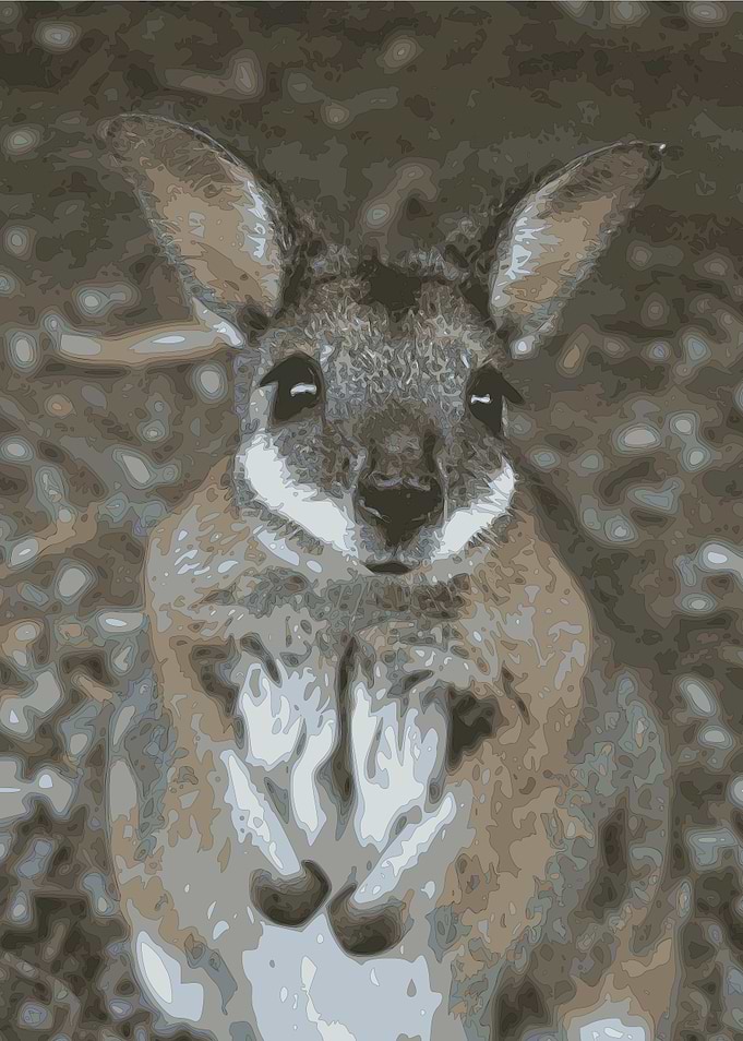 Australia 21