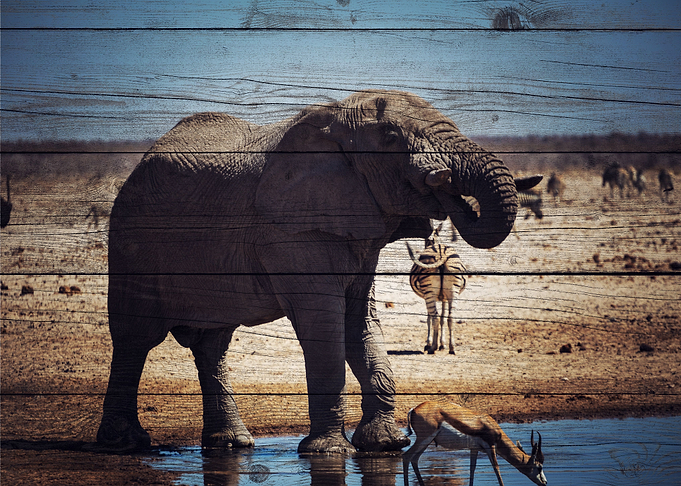 Elephant Art