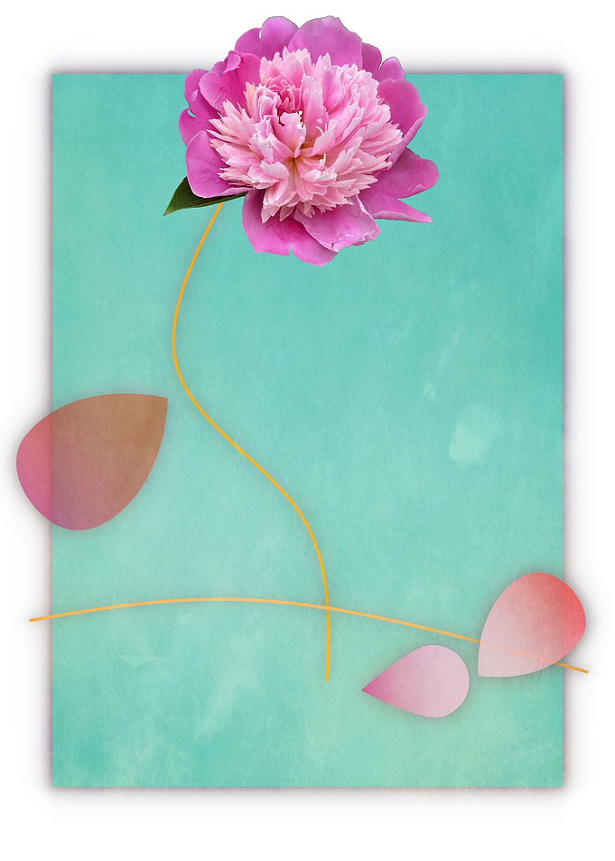 Flower 22