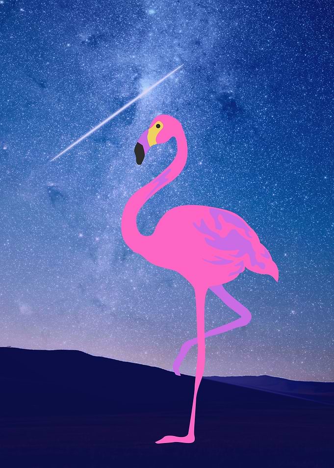 swan on the earth