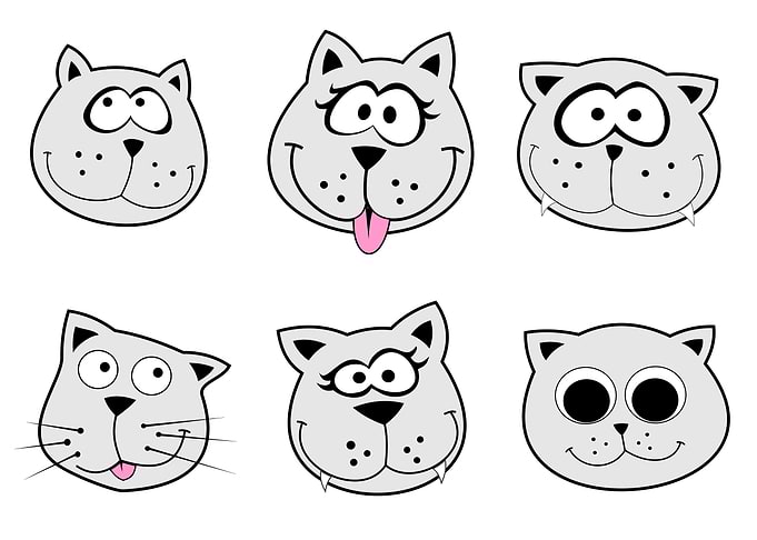 cats pack